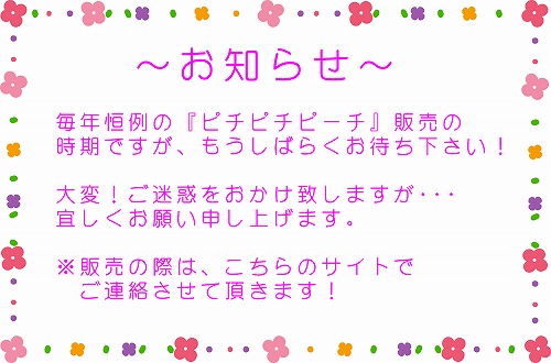 2013ピチピチピーチ案内