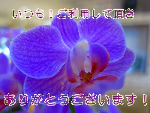 ①20130716