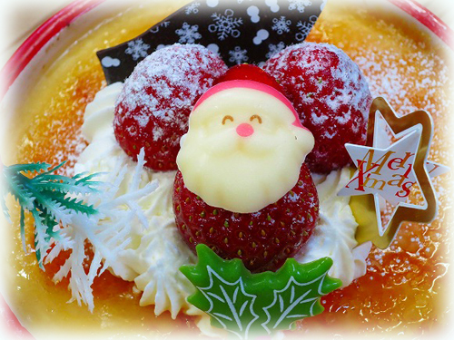 20131213Xmasburyre2.jpg